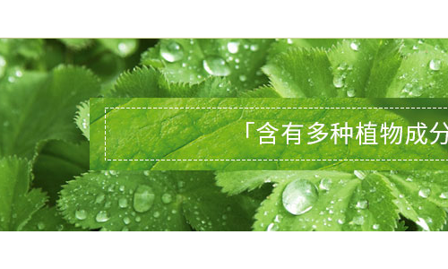 Kneipp克奈圃再生紧致精华乳—为肌肤焕新储备能量