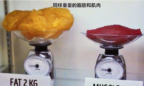 深圳联合丽格：马甲线不是炼出来的，是用BTL美修斯躺出来的