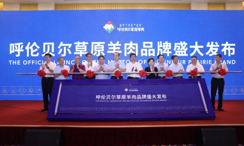 世界的大草原 中国的好羊肉 呼伦贝尔草原羊肉开启品牌食材时代
