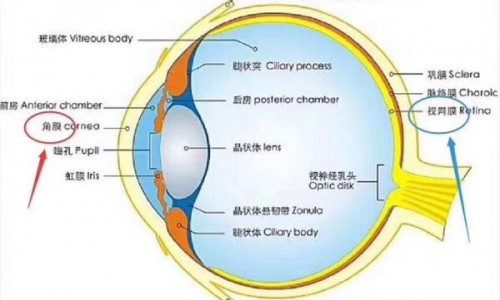 沈阳普瑞眼科怎么样 摘镜真的有风险吗？