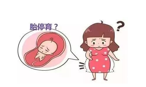 【科普】石家庄港大妇产医院林芝彩院长：胎停育有哪些症状？