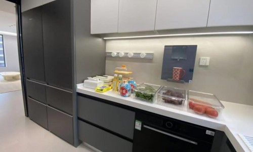 大冰箱难进小厨房？卡萨帝：小厨房能装大冰箱