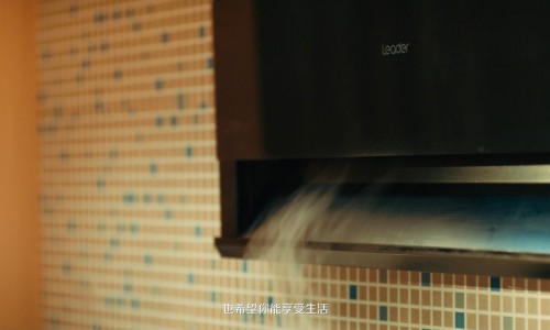 油烟机痛点难解？Leader厨电：解决难题，逆势高增