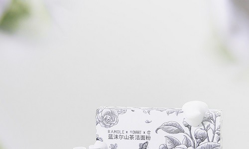 跨界联名显露设计“新风范”，蓝沫尔与插画师OY携手打造推出蓝沫尔山茶洁面粉