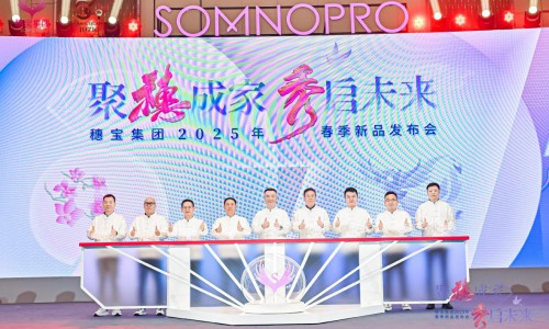 穗宝集团2025春季新品发布：紧扣两会热点，推动家居产业升级