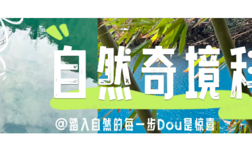 打开自然的N种方式：抖音自然奇境科普季x超威，开启大自然奔赴计划