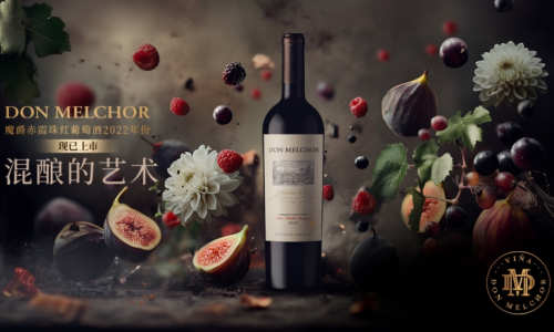 7 智利传奇佳酿魔爵酒庄三十六载传承之作，魔爵2022年份璀璨登场