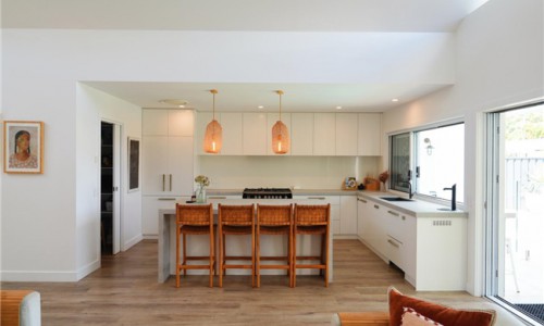 澳洲音樂(lè)人選擇全套斐雪派克