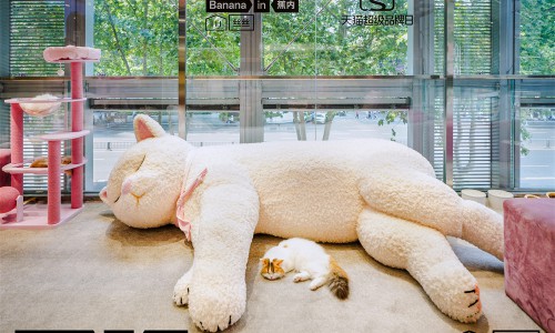 當體感科學遇見成都慢生活：蕉內「絲滑躺平貓咖」限時開啟